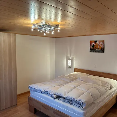 Haus Muehlebach Διαμέρισμα Ernen