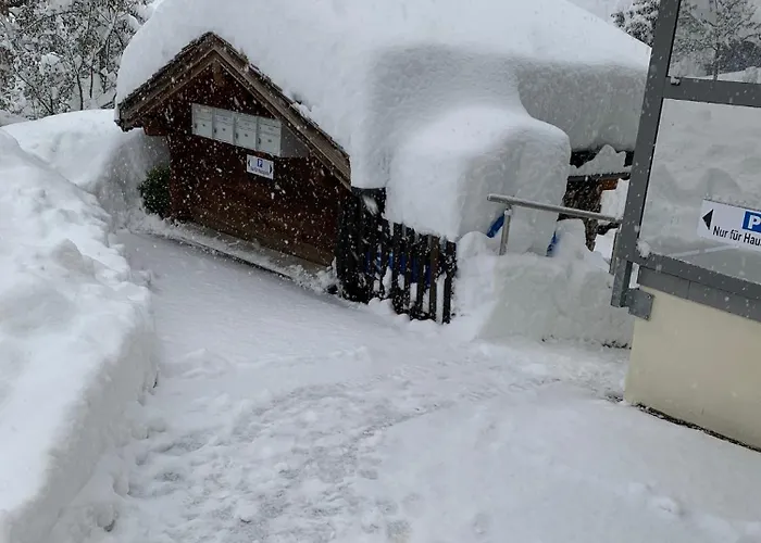 Апартаменты Haus Muehlebach *